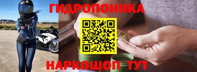 apvp Можга