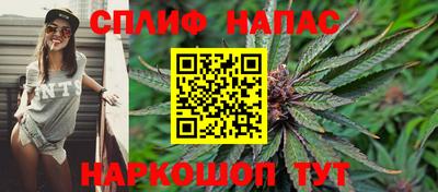 apvp Можга