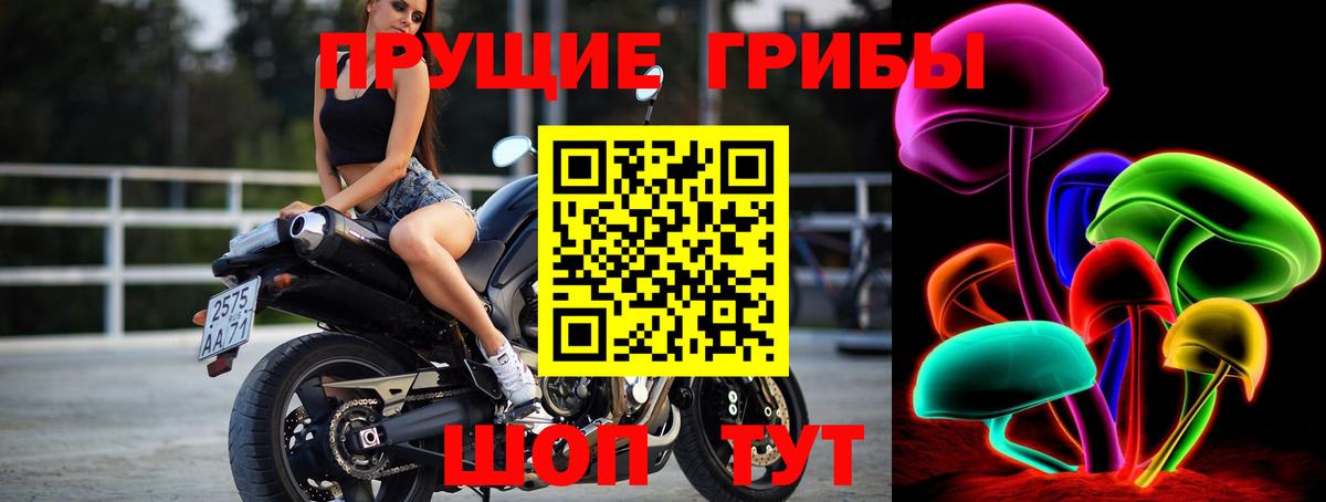 Псилоцибиновые грибы Magic Shrooms Углич