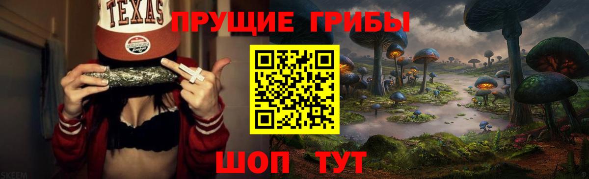 Углич  Псилоцибиновые грибы MAGIC MUSHROOMS  Галлюциногенные грибы мицелий  Вход с VPN 